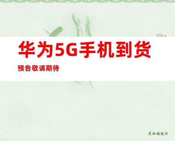 传承红色血脉，筑牢Weilink长城